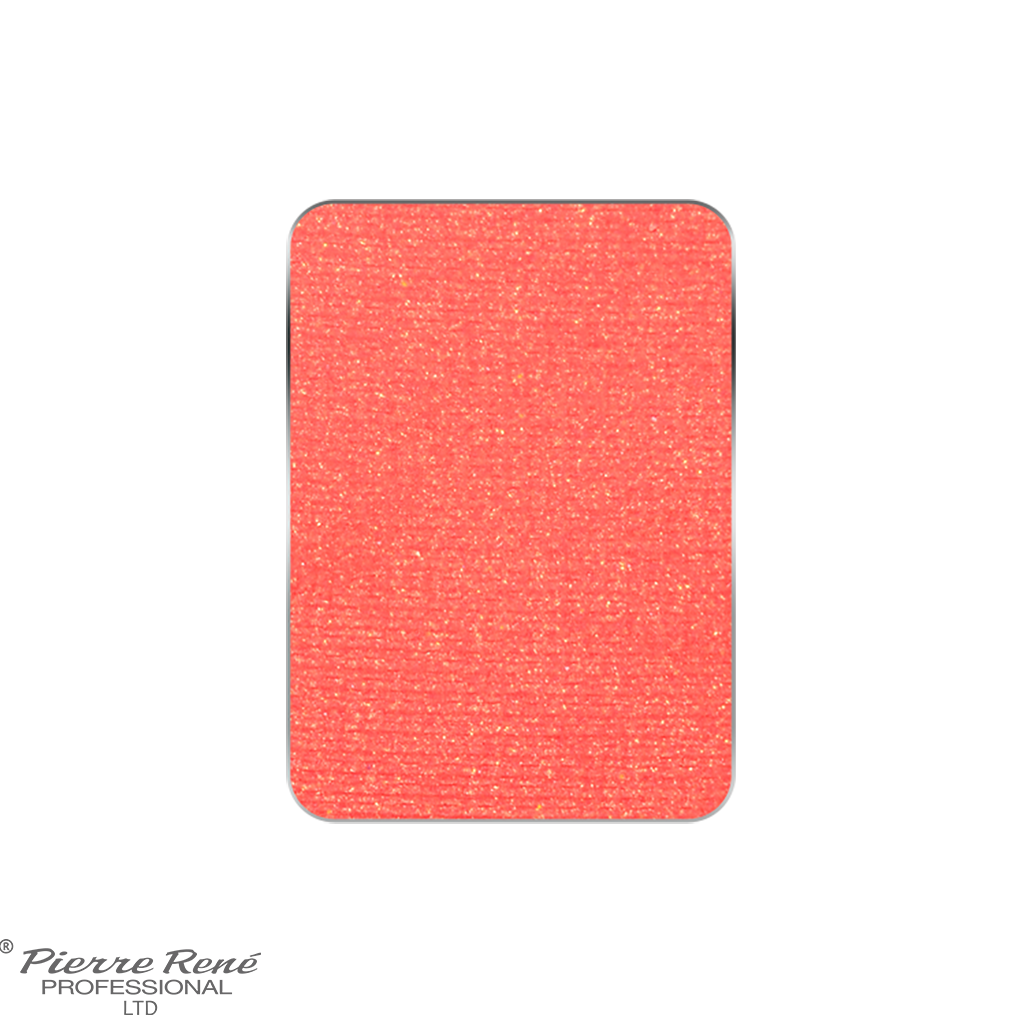 Palette Match System Eyeshadow 51 - 100