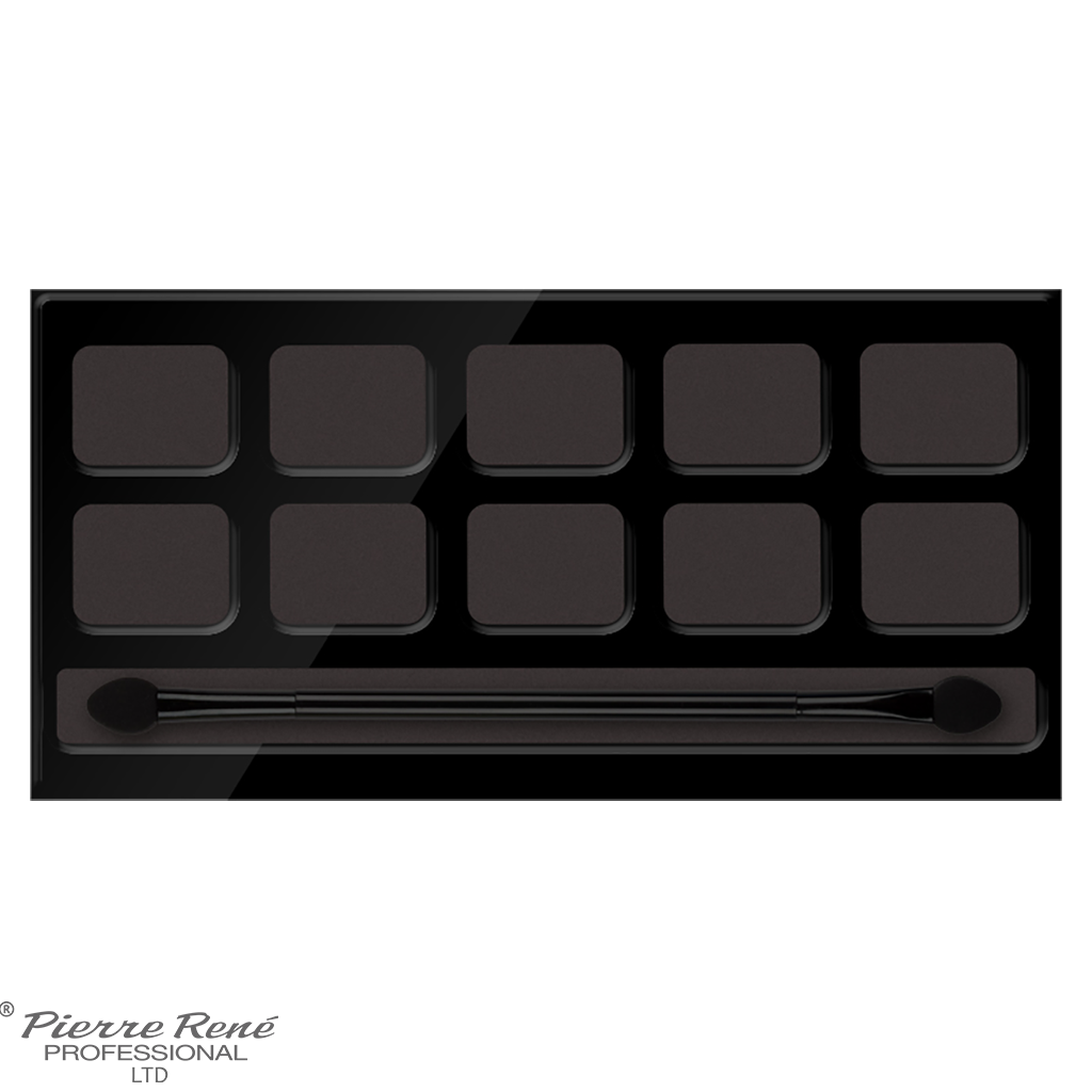 Palette For 10 PMS Eyeshadows with Applicator